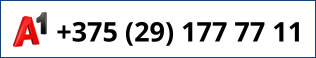 +375 (29) 177 77 11