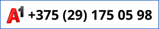 +375 29 175-05-98