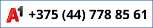+375 (45) 766 60 66