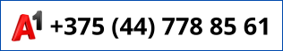 +375 29 778-85-61