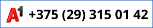 +375 29 315-01-42
