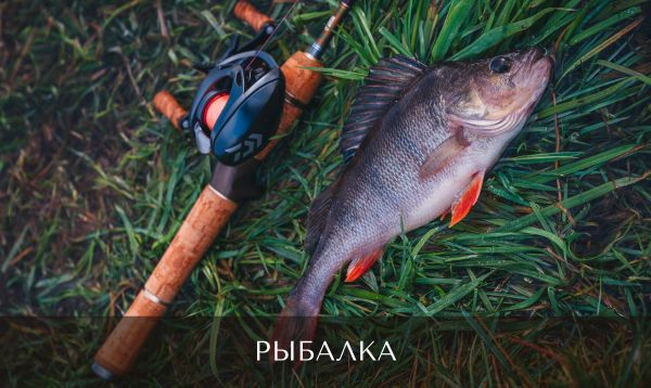 Платная рыбалка