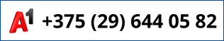 +375 (29) 678 04 82