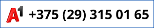 +375 (29) 315 01 65
