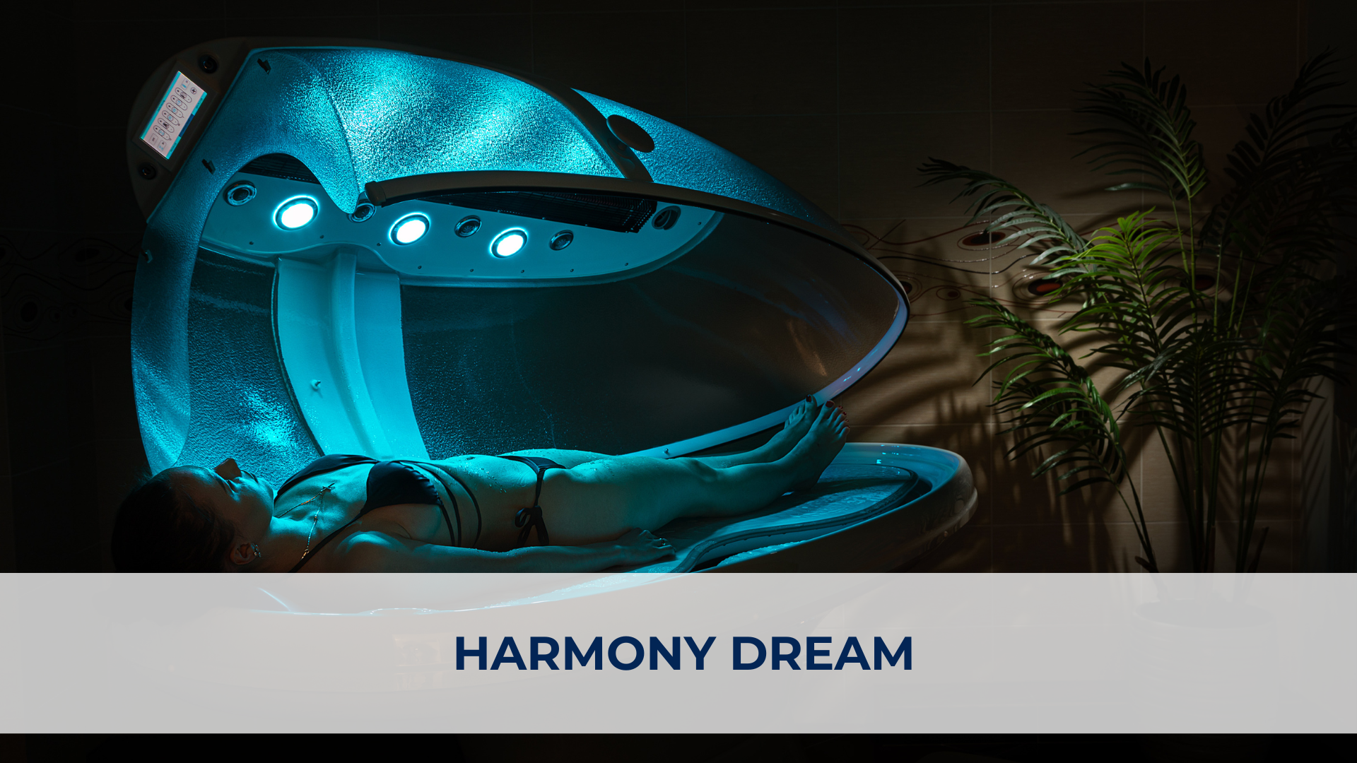 Harmony Dream.png