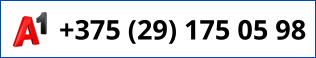 +375 (29) 175 05 98