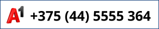+375 (44) 5555 364