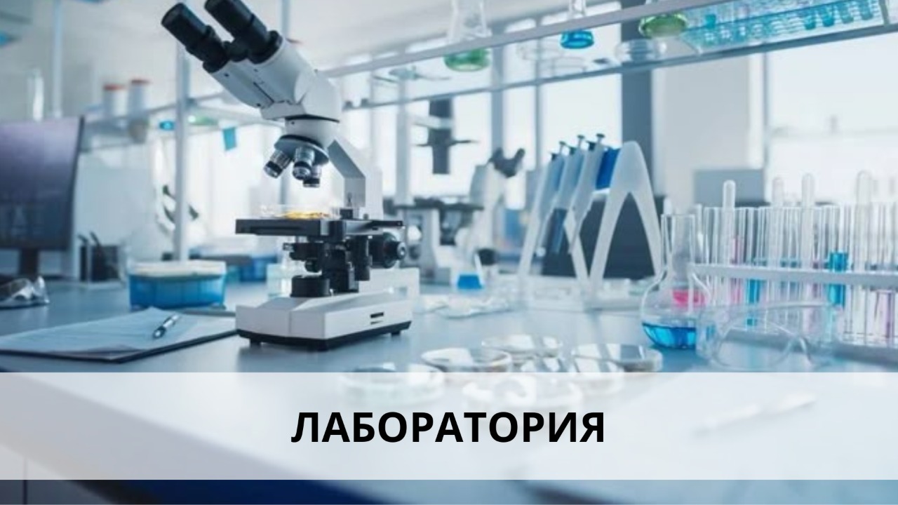Лаборатория Лаборатория