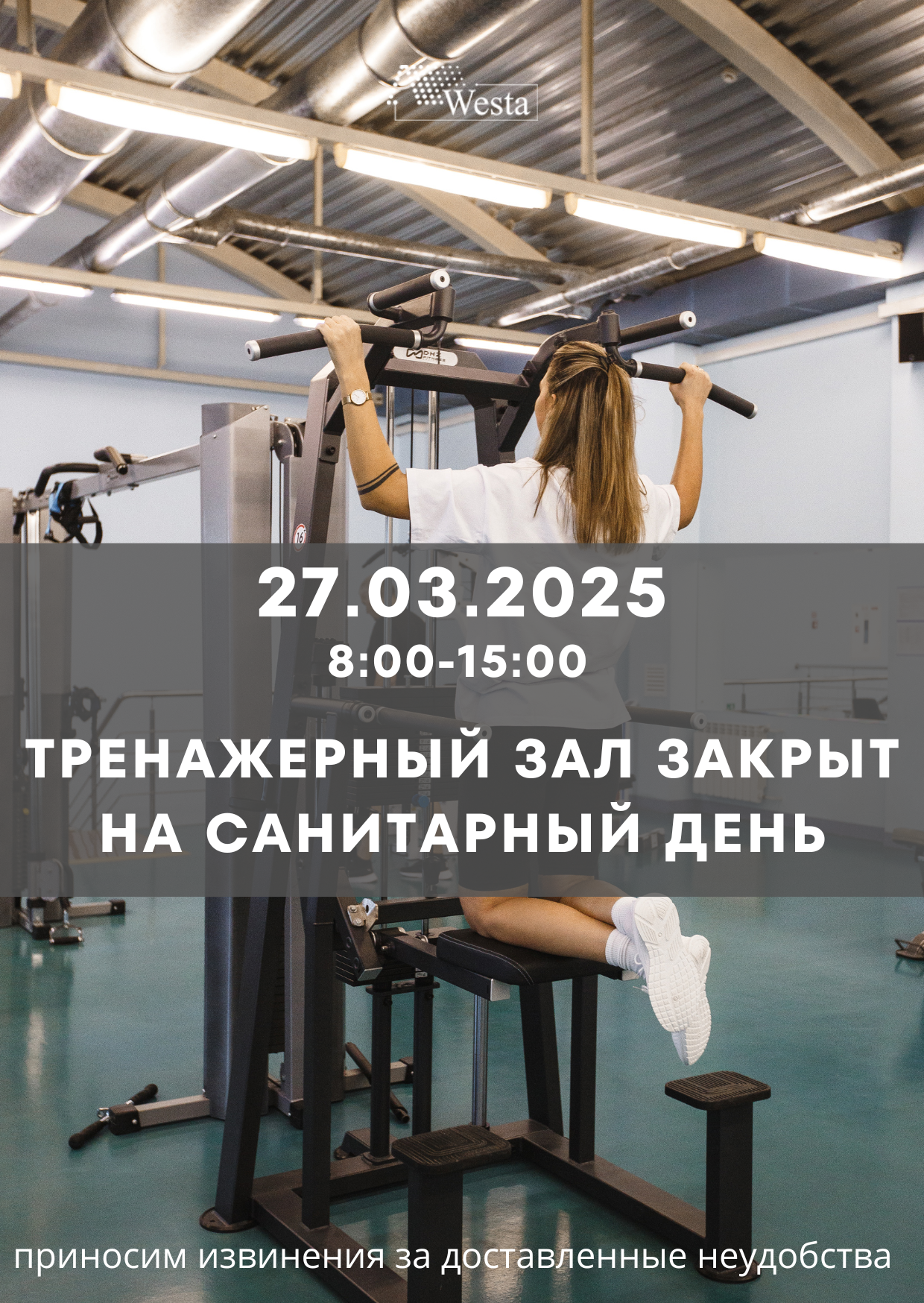 Дизайн без названия, копия (18).png