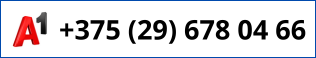+375 (29) 678 04 66.png