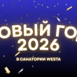 НОВЫЙ ГОД В САНАТОРИИ «ВЕСТА»